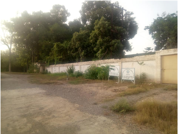 Pakistan Forest Institute University Campus, Peshawar